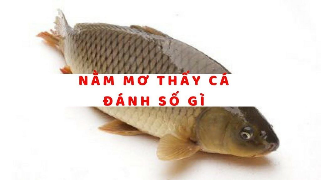 mơ thấy cá