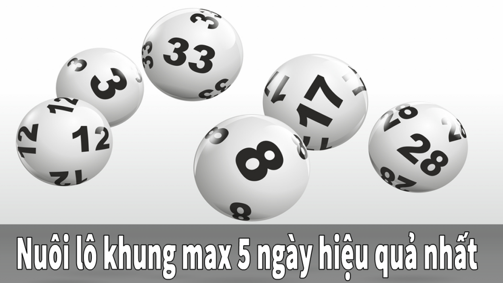 Nuôi lô bạch thủ 5 ngày